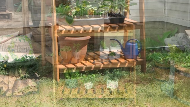 Amazon.com: Sunnydaze Outdoor Meranti Wood 3-Tiered Garden Shelf